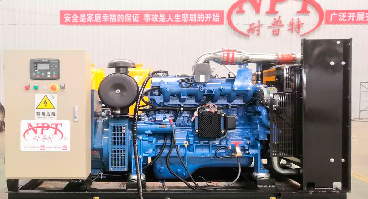 ООО «Укравтономгаз» является эксклюзивным представителем китайского завода газовых генераторов компании NPT